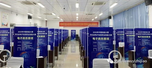衡水市武邑職教中心教師在河北省電子信息服務(wù)業(yè)職業(yè)技能大賽中榮獲佳績，彰顯信息電子技術(shù)服務(wù)專業(yè)實力